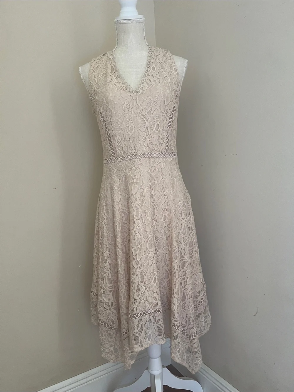 Taylor by Anthropologie Sleeveless Lace V-Neck Midi Dress in Nude